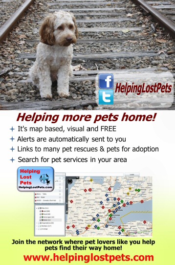 Helping Lost Pets poster