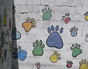 Merida - wall decorated with paw prints