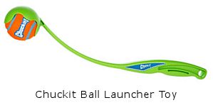Chuckit Ball Launcher