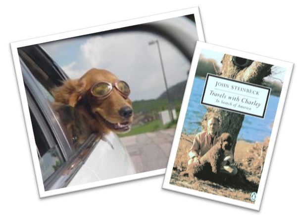 image: dog in car, and Travels with Charley book cover
