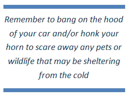 Remember to bang on the hood of your car and/or honk your horn to scare away any pets or wildlife that may be sheltering from the cold