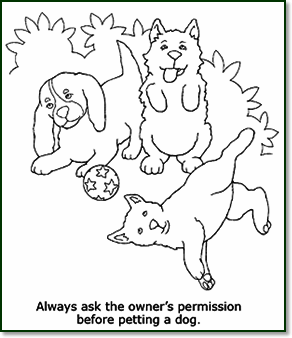 image: picture-always ask owner's permission before petting a dog