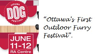 image: Ottawa Dog Festival